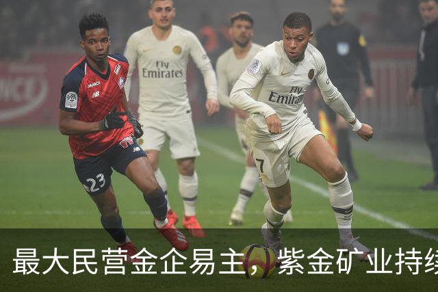 最大民营金企易主，紫金矿业持续“扫货”