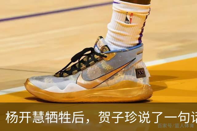 杨开慧牺牲后，贺子珍说了一句话，毛主席生气：你应有革命同情感