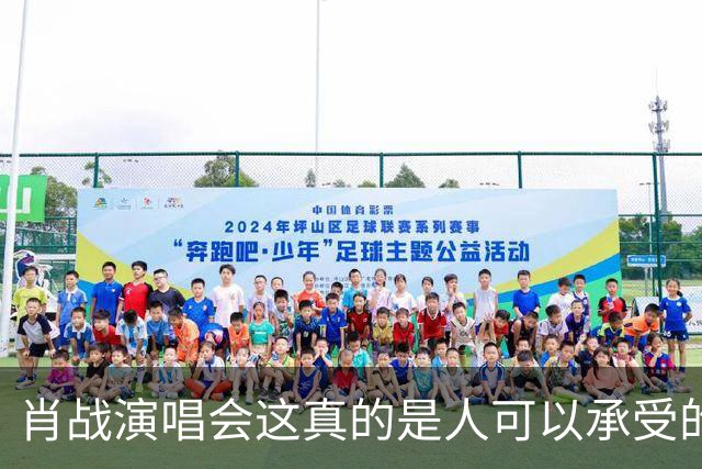 肖战演唱会这真的是人可以承受的吗？散场后还设心理疏导岗