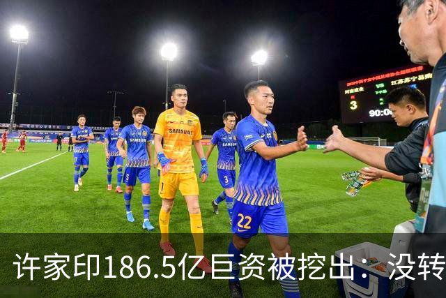 许家印186.5亿巨资被挖出：没转给丁玉梅，而是给了这位“老友”