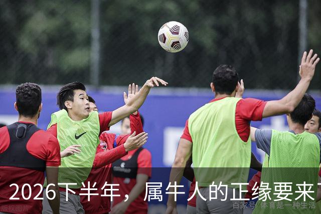 2026下半年，属牛人的正缘要来了，这两个月最关键！